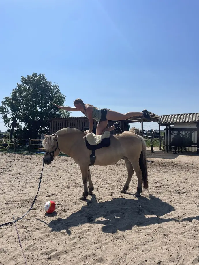 10-Rittenkaart Ruiterfitness