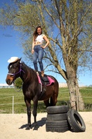 Lessen met paarden