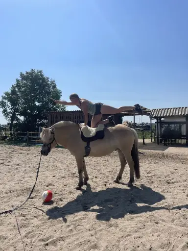 10-Rittenkaart Ruiterfitness