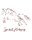 Spirit Horses